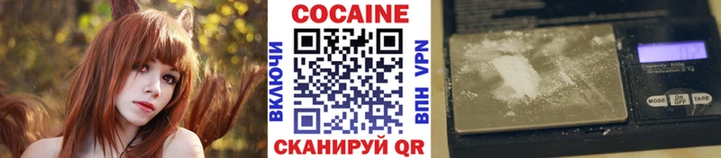 дарнет шоп  Тейково  Cocaine Fish Scale 