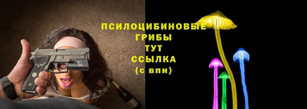 дмт Алексин