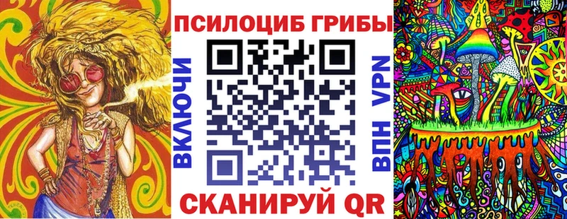 где продают наркотики  Тейково  Псилоцибиновые грибы Cubensis 